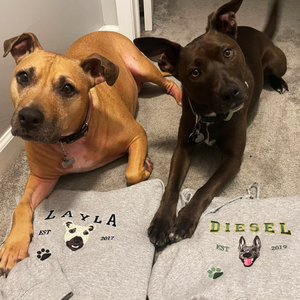 Custom Dog Embroidered Hoodie – Dog Lover Gift