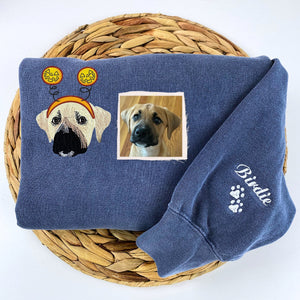 Custom Dog Embroidered Hoodie – Halloween Pet Outfit